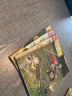 Miniatyrgalleribilde