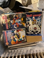 Miniatyrgalleribilde