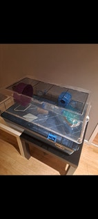 Miniatyrgalleribilde