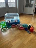 Miniatyrgalleribilde