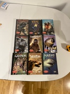 Miniatyrgalleribilde