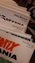 Miniatyrgalleribilde