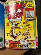 Miniatyrgalleribilde