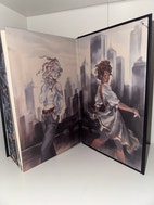 Miniatyrgalleribilde