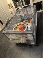 Miniatyrgalleribilde