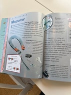 Miniatyrgalleribilde