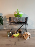 Miniatyrgalleribilde