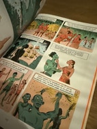 Miniatyrgalleribilde