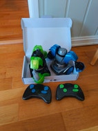 Miniatyrgalleribilde