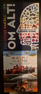 Miniatyrgalleribilde