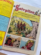 Miniatyrgalleribilde