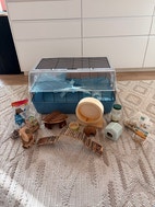 Miniatyrgalleribilde