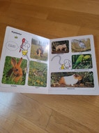 Miniatyrgalleribilde