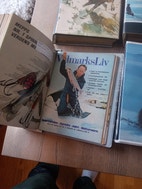 Miniatyrgalleribilde