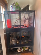 Miniatyrgalleribilde