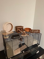 Miniatyrgalleribilde