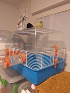 Miniatyrgalleribilde