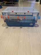 Miniatyrgalleribilde