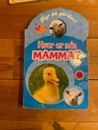 Miniatyrgalleribilde