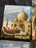Miniatyrgalleribilde
