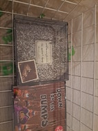 Miniatyrgalleribilde