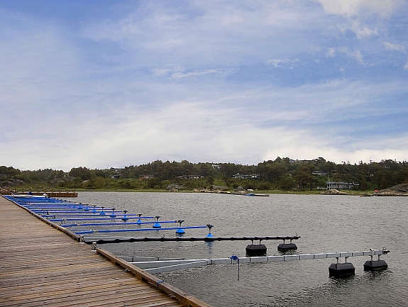 Botplass 2 Galleribilde