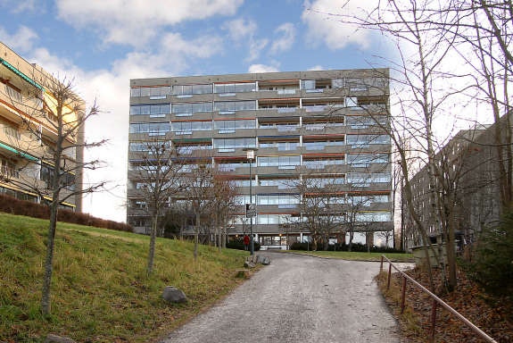 Hovedbilde Galleribilde