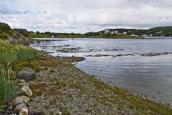 LYSØYA ARNE VALVIK-2441 Galleribilde