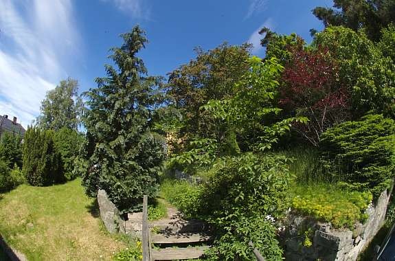 Uten nordavind og med solvarme hele dagen og kvelden, blir Skogbakken en oase om sommeren. Galleribilde