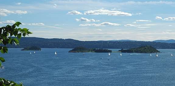 Fra leiligheten, fra den store hagen, fra 60 m2 terrasse og fra annekset har man fjordpanorama. Galleribilde