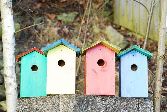 Fuglehusene pusses opp og klargjøres til årets innrykk av trekkfugler. Galleribilde