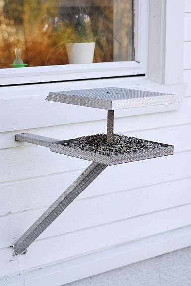 Når man bor i Byskogen må man ha fuglebrett med solsikkefrø. Husk alle fugler små de er Galleribilde