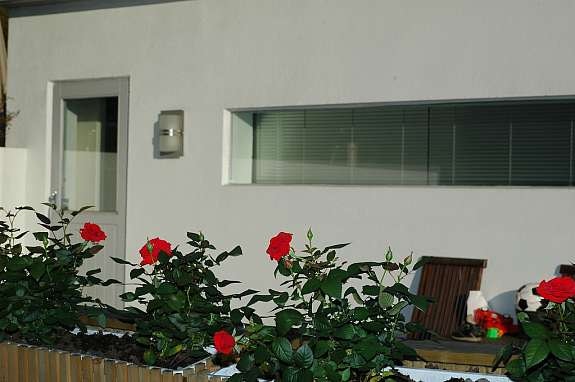 Anneksets fasade om sommeren med røde roser rundt hele terrassen. Galleribilde