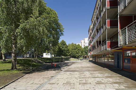 miljo 1 Galleribilde