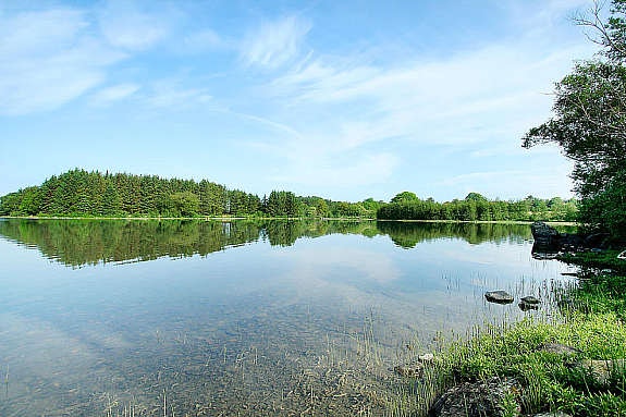 naeromrade (1) Galleribilde