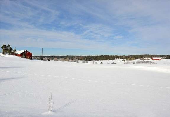Landskapsutsikt fra stuen Galleribilde