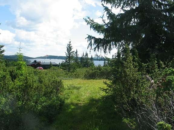 Utsikt fra hytten mot Reina Galleribilde