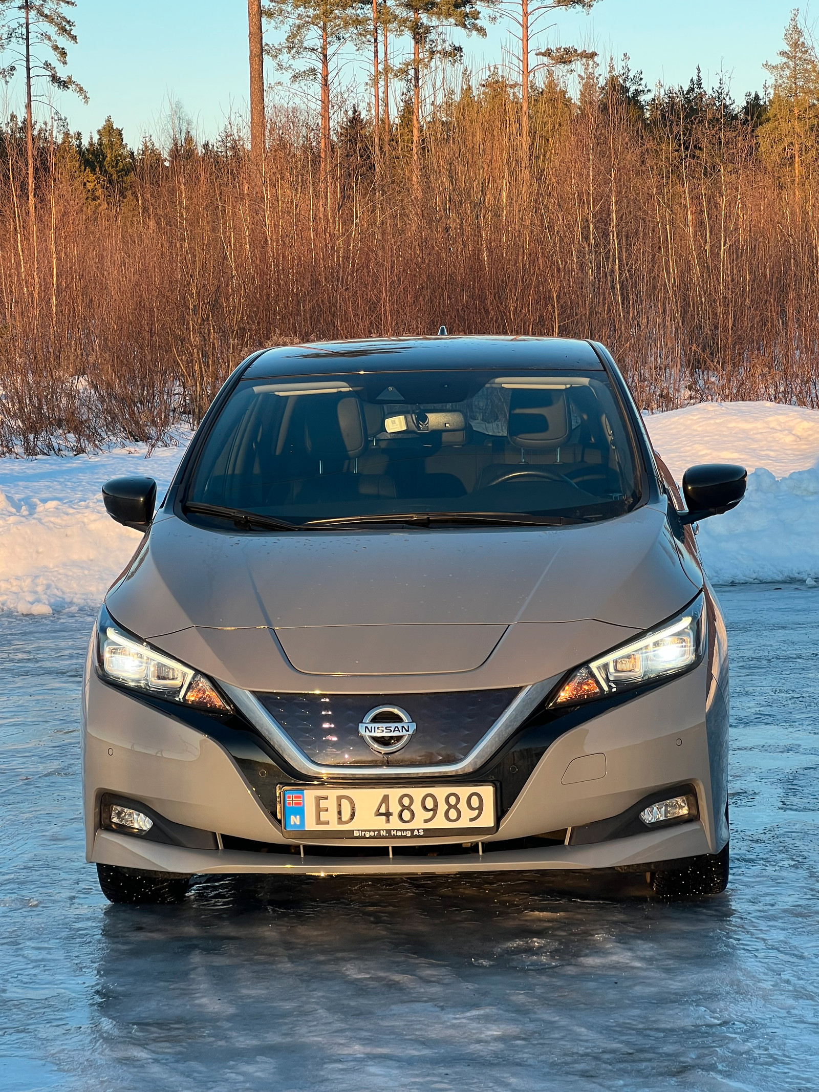 Nissan Leaf 62kWh e+ N-Connecta 2