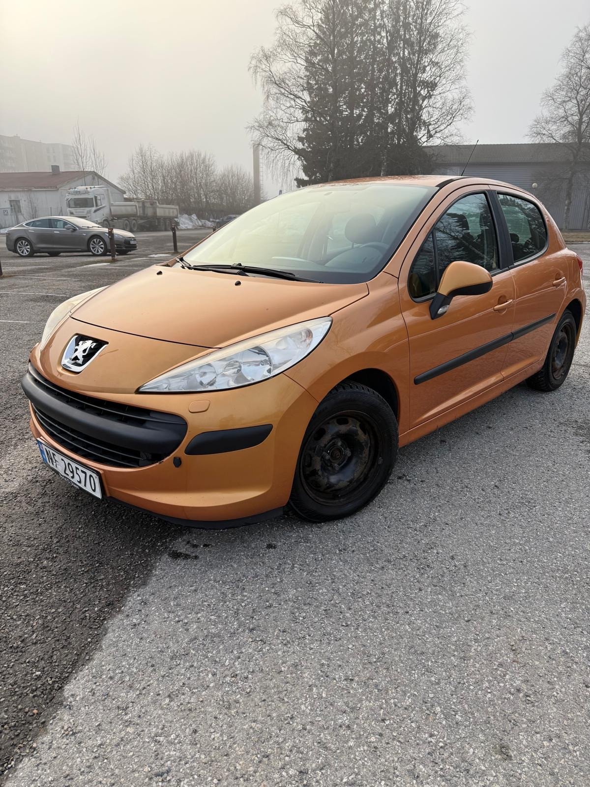 Peugeot 207 1,4 Trendy HDi