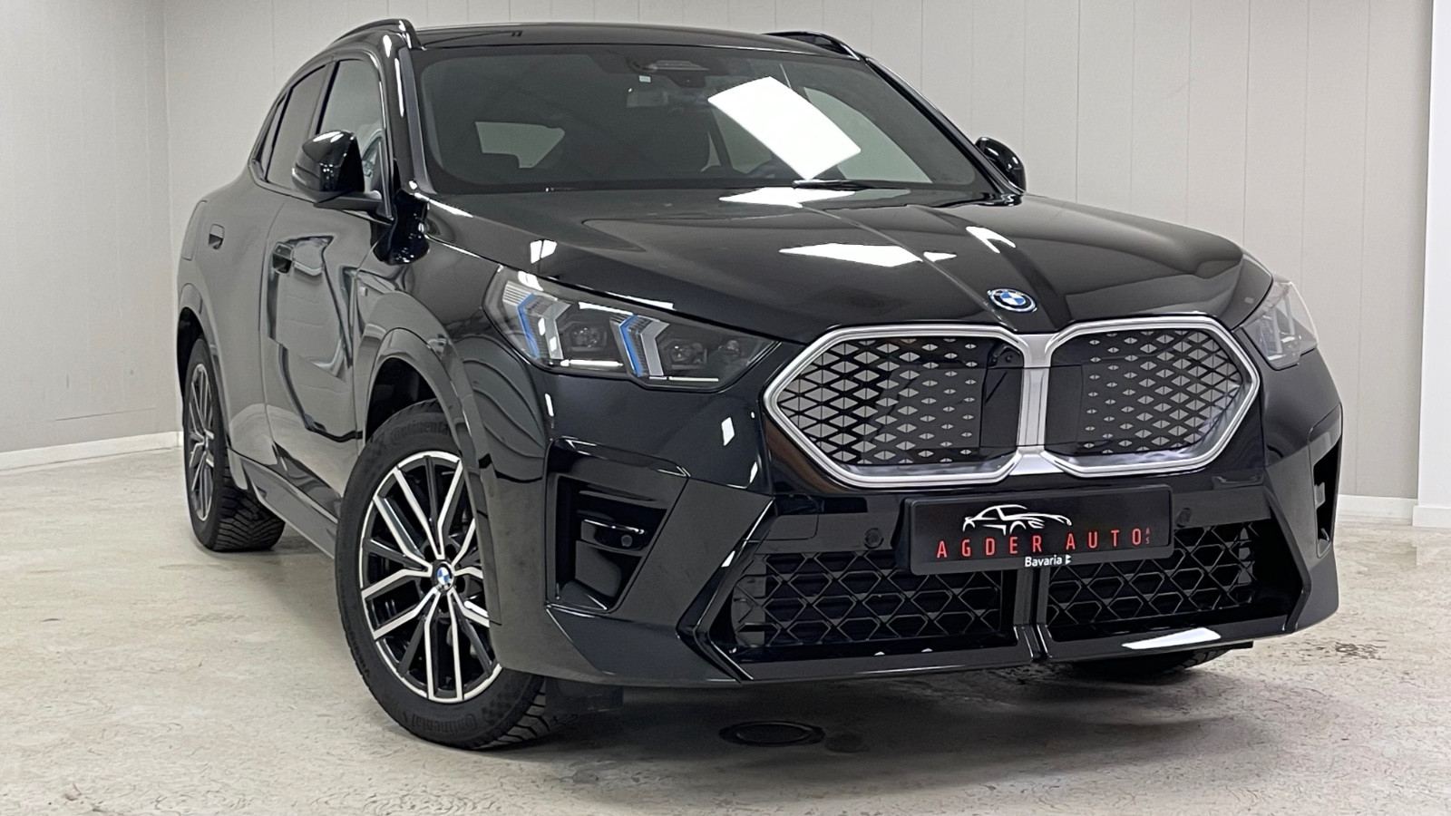 BMW iX2 xDrive30 Fully Charged/M-Sport/ACC/HUD/H&K/360/Krok/S+V 3