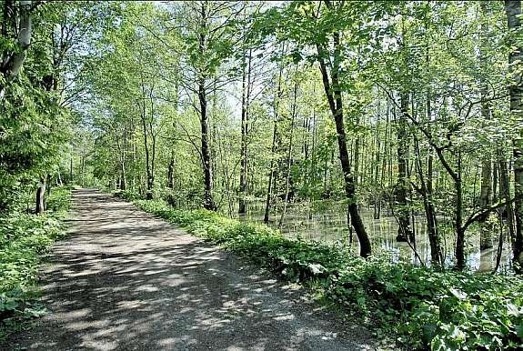 _1108217 Galleribilde