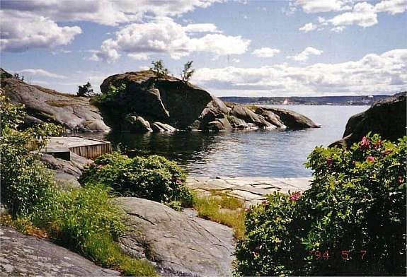 Bryggene Galleribilde