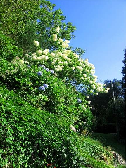 Omraade_omraade Galleribilde