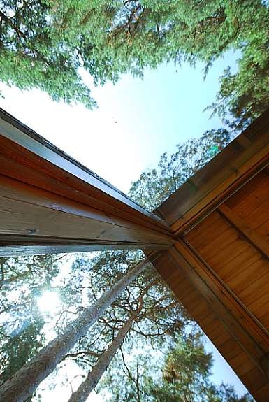 xdetalj2x Galleribilde