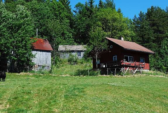 Bilde nr. 1 Galleribilde