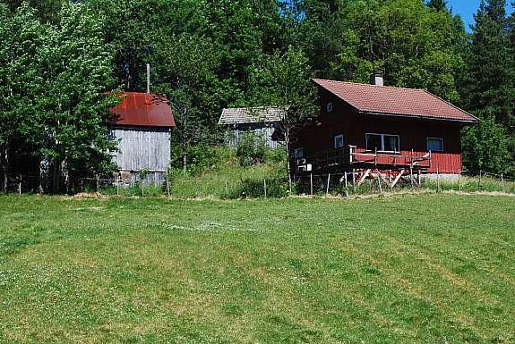 Bilde nr. 4 Galleribilde