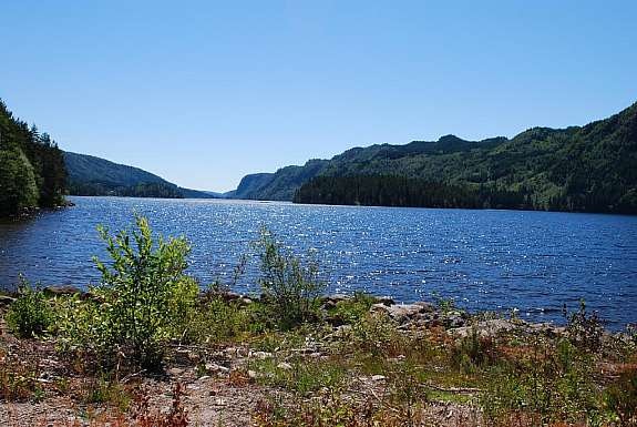 Bilde nr. 3 Galleribilde