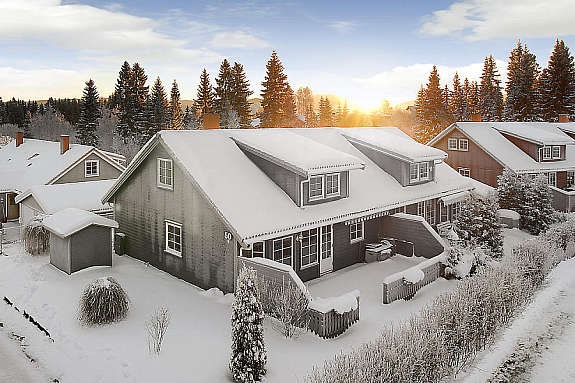 Mastfoto Galleribilde