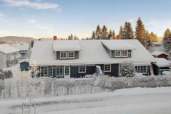 Mastfoto Galleribilde