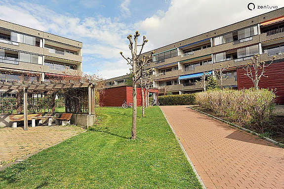 Hovedbilde Galleribilde